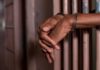 À la barre: Moussa escroque 1000F et écope 60 mois de prison