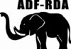 Vie politique du Faso : Une vague de démissions au parti de l’éléphant